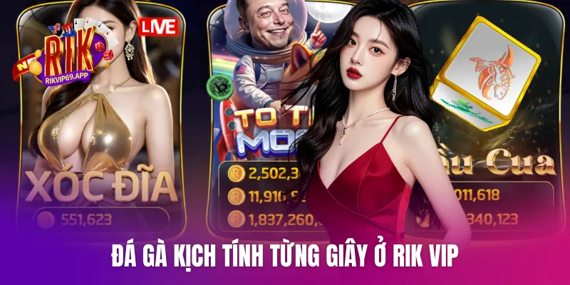 Đá gà kịch tính từng giây ở Rik vip