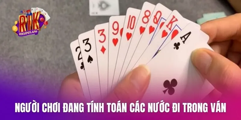 Người chơi đang tính toán các nước đi trong ván bài phỏm