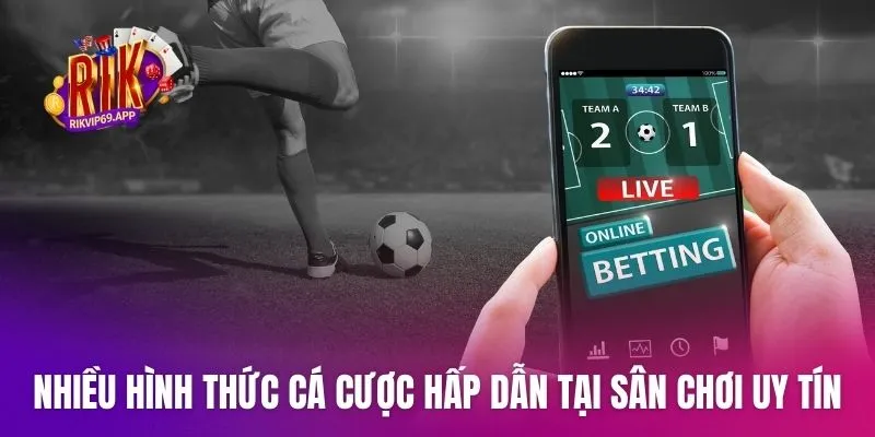 Nhiều hình thức cá cược hấp dẫn tại sân chơi uy tín