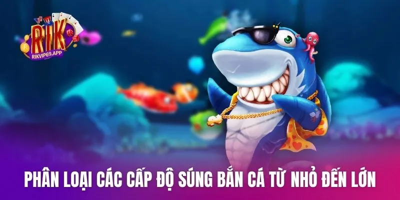 Phân loại các cấp độ súng bắn cá từ nhỏ đến lớn