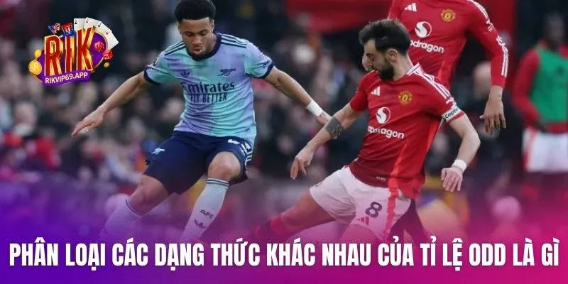  Phân loại các dạng thức khác nhau của tỉ lệ odd là gì