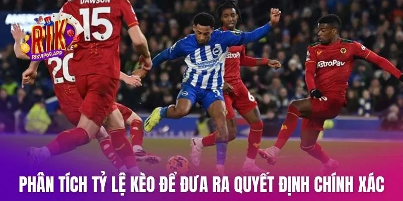 Người chơi phân tích tỷ lệ kèo để đưa ra quyết định chính xác