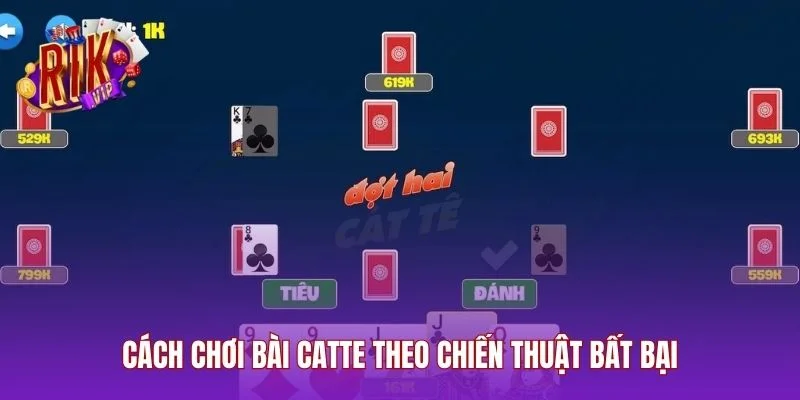 Cách chơi bài Catte theo chiến thuật bất bại
