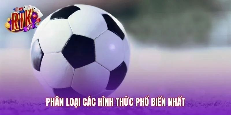 Phân loại các hình thức phổ biến nhất